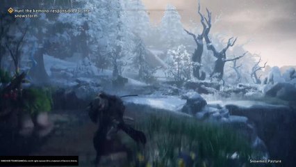 Wild Hearts: Vergleichsvideo mit und ohne Bewegungsunschärfe