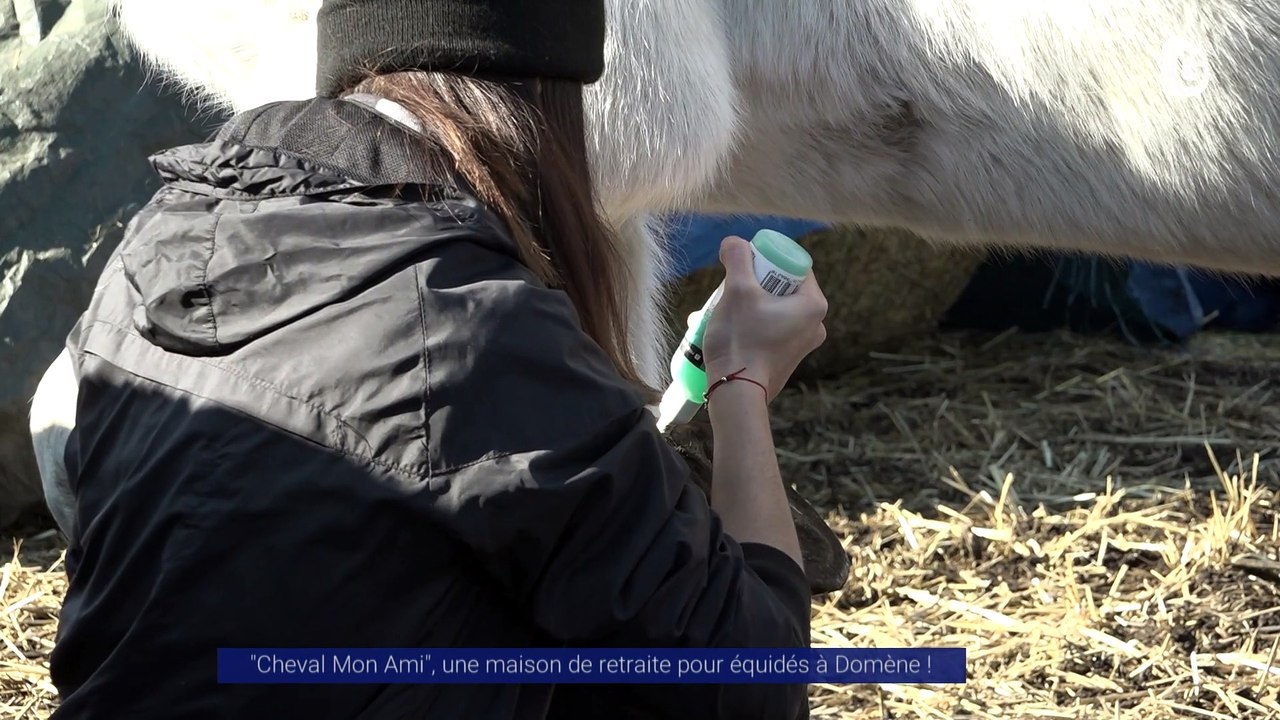 Reportage - "Cheval Mon Ami", une maison de retraite pour équidés à Domène !