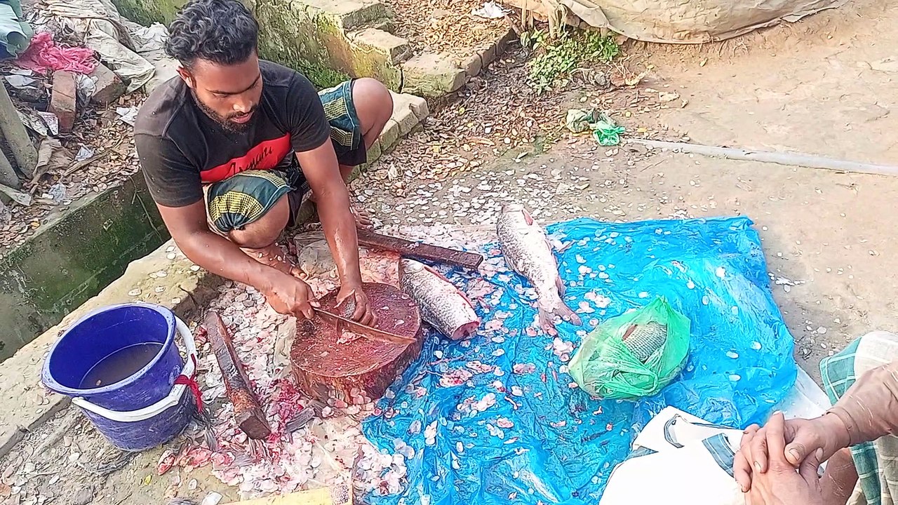 Amazing Fish Cutting Tutorial Banglai