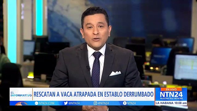 Así fue el rescate de una vaca atrapada entre los escombros tras el terremoto en Turquía