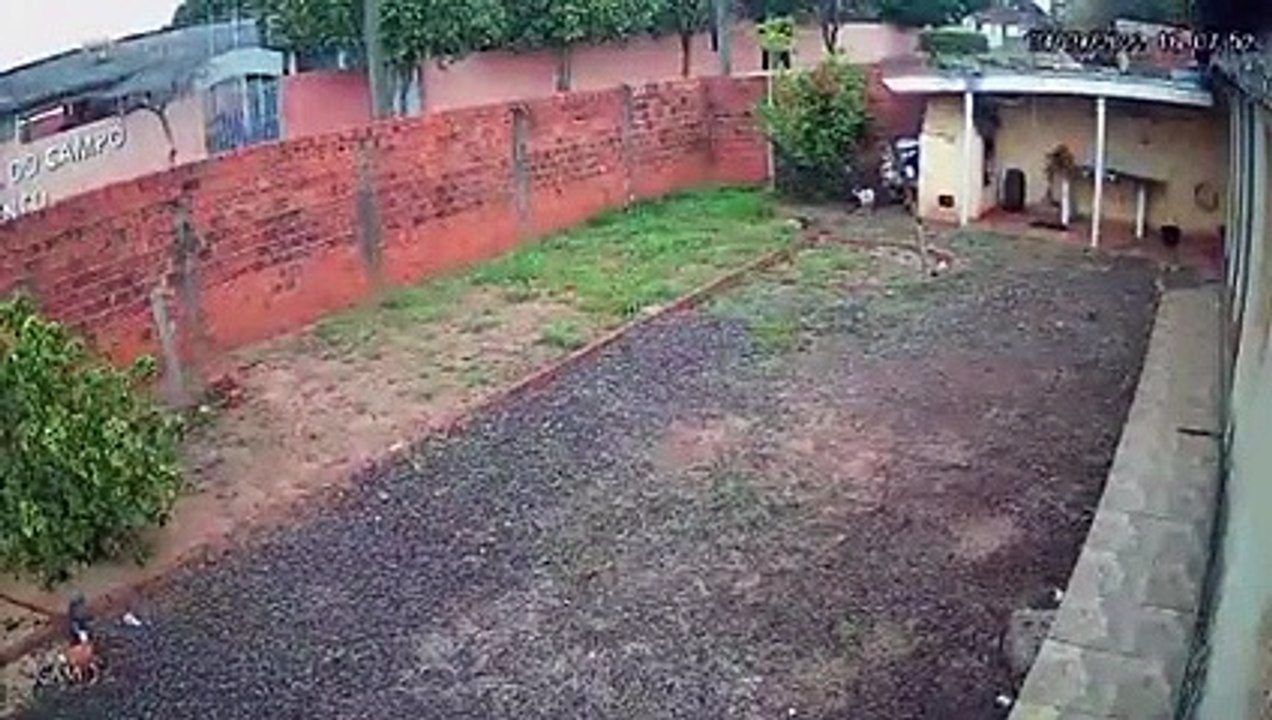 Homem foi capaz de atravessar o muro de uma casa