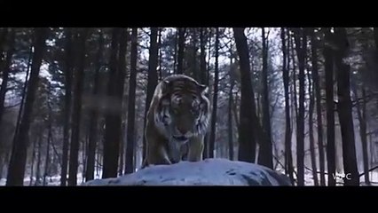Tiger and Lion Roar | The most badass roar in the movies