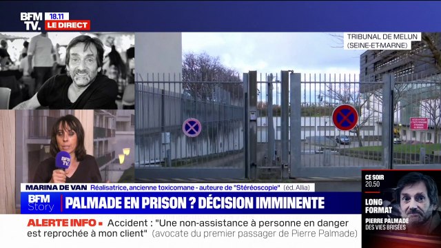 Marina De Van, ex-addicte à la cocaïne: Vous êtes comme un animal qui court derrière ses croquettes