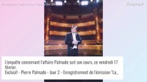 Accident de Pierre Palmade : L'humoriste mis en examen mais remis en liberté, avec bracelet électronique
