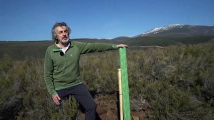 Jornada de presentación de los avances del proyecto Life 'Osos con Futuro'