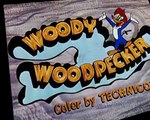 Woody Woodpecker Woody Woodpecker E059 – Convict Concerto