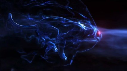 Moko Trifold Stand Case Cover for Ipad Air 5th Gen (Unboxing)