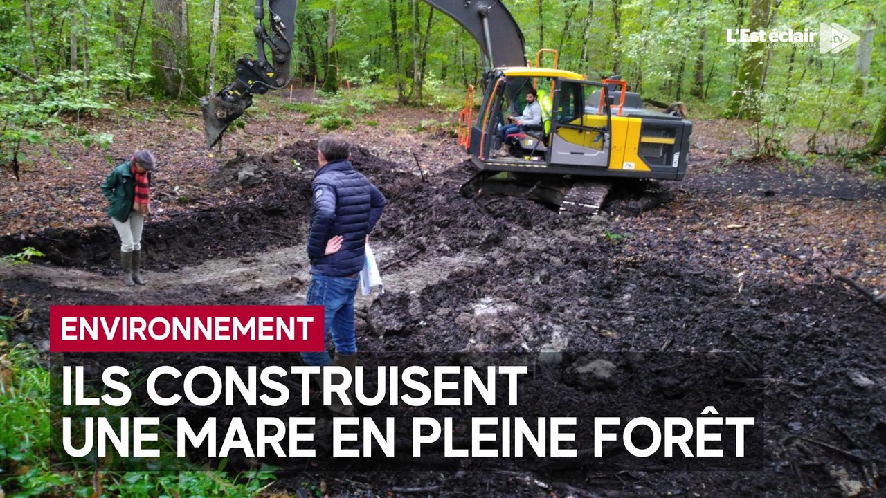 2 mares du Parc Naturel de la Forêt d'Orient restaurés