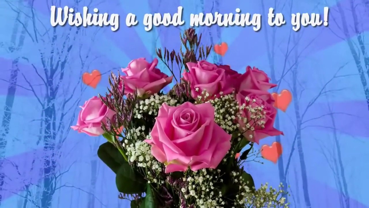Good Morning everyone | Its a wonderful morning | just for you | Have an amazing day!
