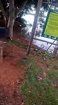 Cheia no Rio Paraná deixa prainhas de Porto Camargo e região embaixo da água - Vila Yara