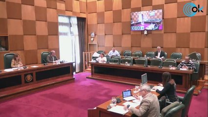 La candidata del PSOE en Zaragoza y su grupo defienden el Sí es Sí: "Nos da igual la alarma social"