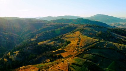 Merry Christmas versión Pop