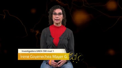 Sinapsis T2 E61 | ¿En dónde podemos encontrar a los anfibios?