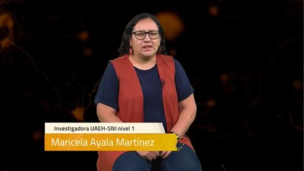 Sinapsis T2 Ep59 | Alimentación animal sostenible