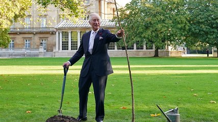 King Charles III co-authors children’s book on climate change