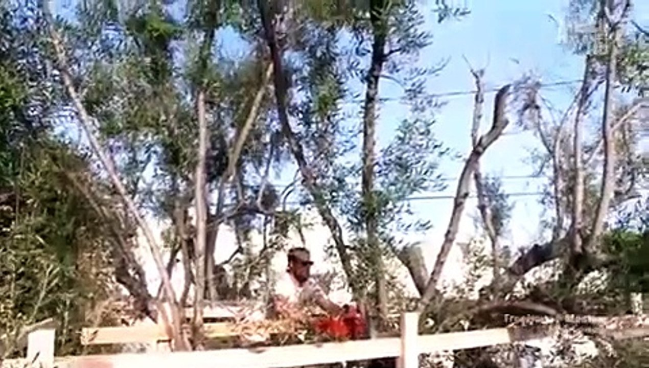 Treehouse Masters - Se1 - Ep02 HD Watch