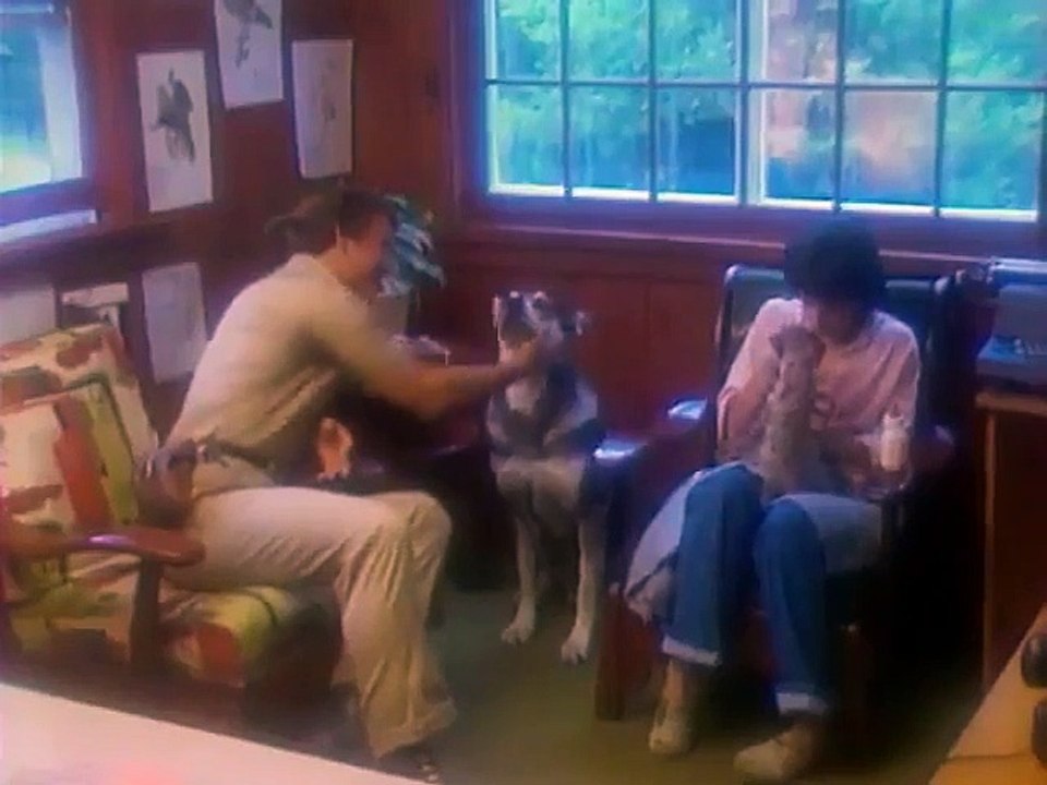 The Littlest Hobo - Se1 - Ep06 HD Watch