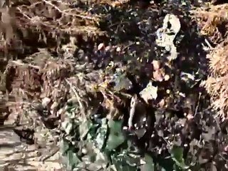 The Angry Video Game Nerd - Se2 - Ep19 HD Watch