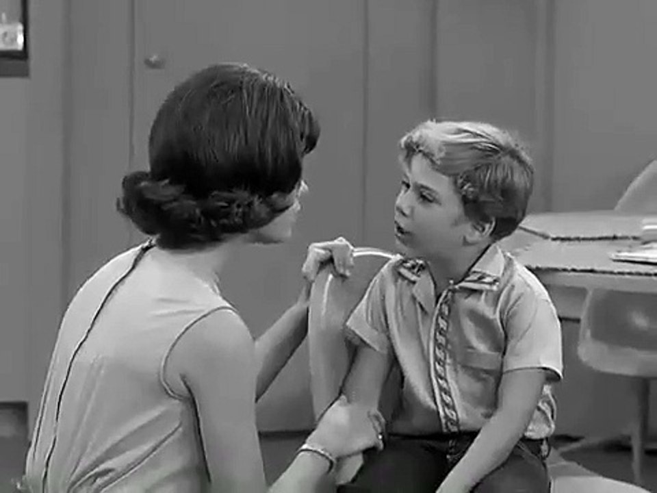 The Dick Van Dyke Show - Se1 - Ep10 HD Watch