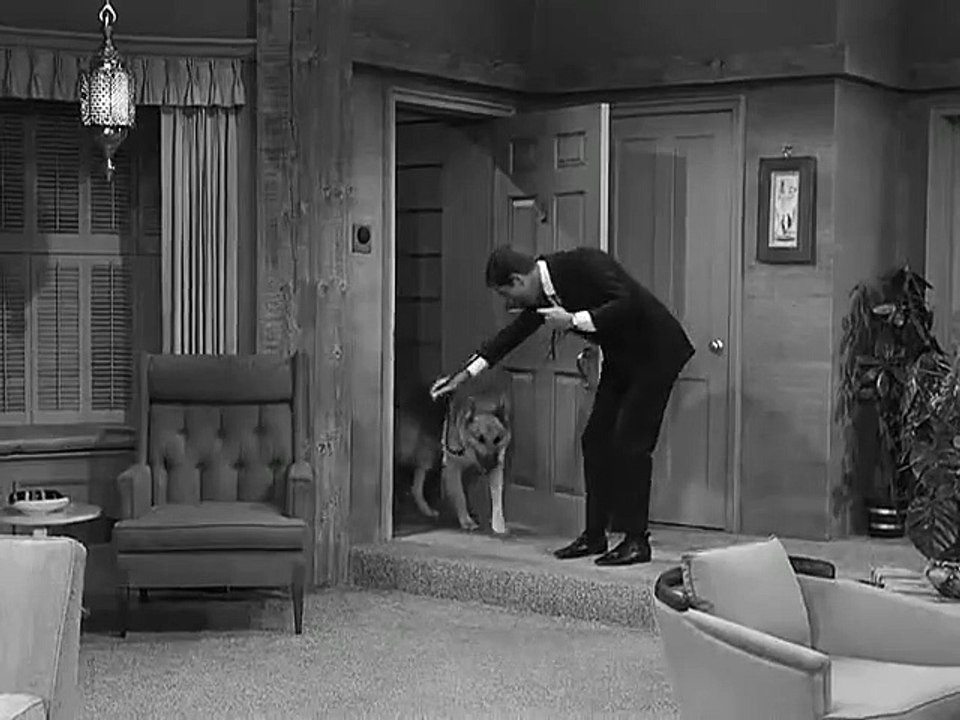 The Dick Van Dyke Show - Se1 - Ep09 HD Watch