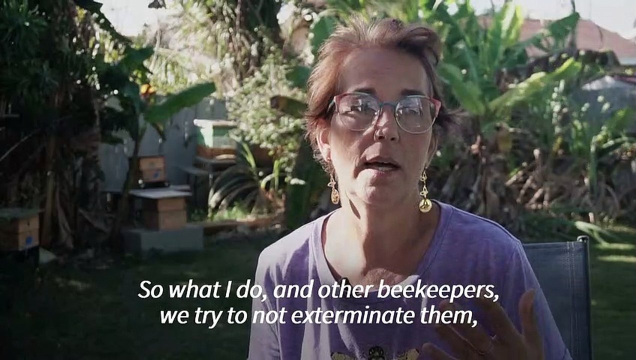 In Miami, a best friend to bees takes her time for nature