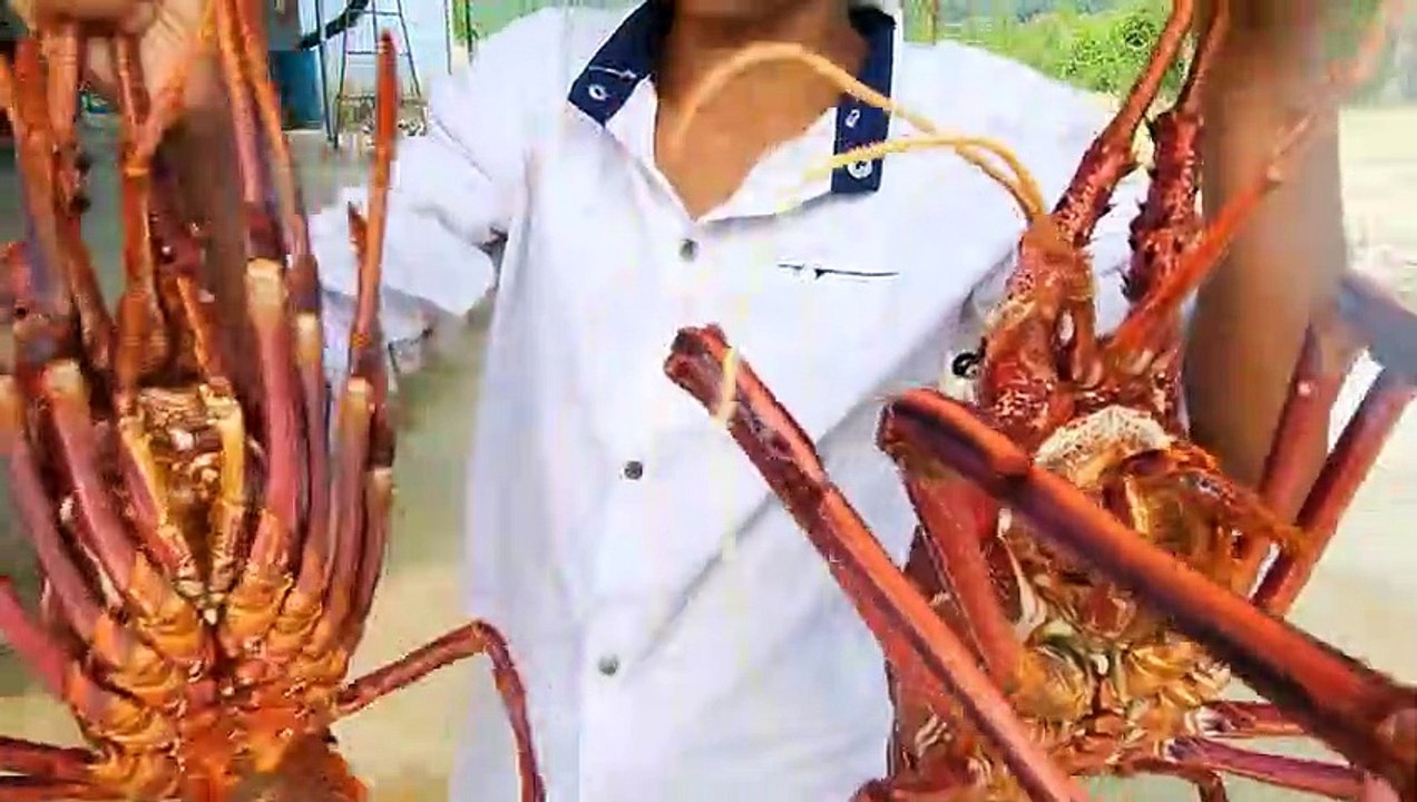 Sang Vlog - Người Tính Không Bằng Trời Tính - Sang Vlog Trở Về Nhà Sau 600km