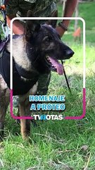 Realizaron un lindo homenaje al perrito Proteo en la CDMX