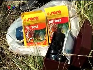 1327 - Kỹ thuật nuôi tôm càng xanh trong ruộng lúa