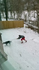 Man Struggles to Escape Slippery Yard