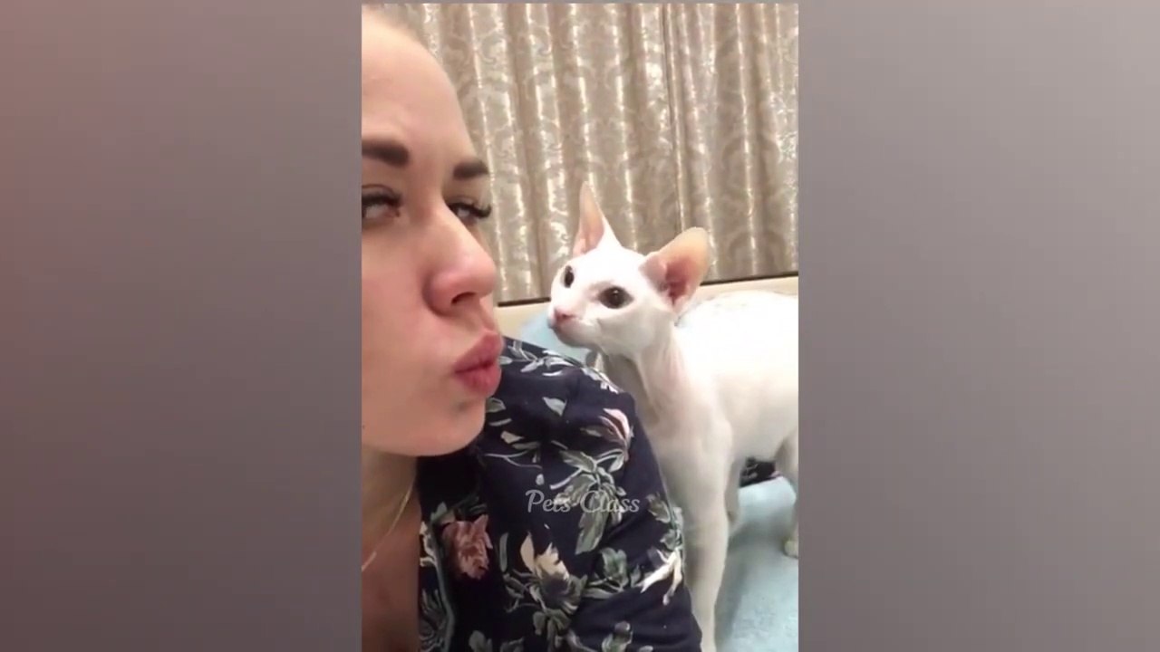 Funniest Animals  Funny Dogs and Cats Videos 2023  Part 2