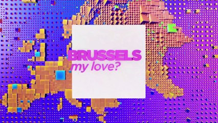 Brussels, my love? The EU's economy and the 'make polluters pay' policy