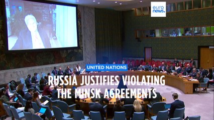 Russia's UN ambassador says his country had 'no choice' but to defend itself