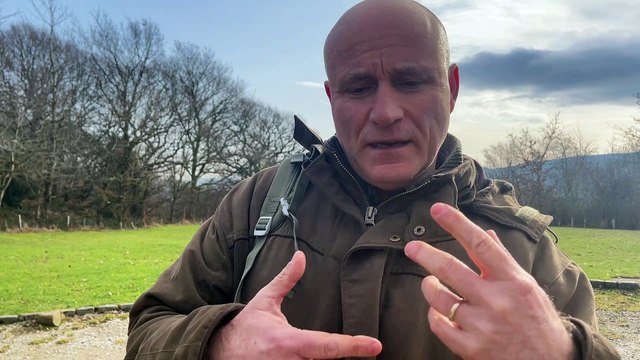 What are ‘Shinrin Yoku' forests? How forest bathing is used in Japanese Healthcare