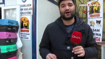 Onlarca kişinin can verdiği Hasan Alpargün Apartmanı’ndan ‘Şanslı’ kurtuldu