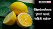 Health Tips: नितळ त्वचा, रोगप्रतिकार शक्ती...; लिंबाचे आश्चर्यकारक फायदे जाणून घ्या | Lemon Benefits