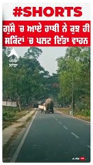 Mad Elephant detroys the car in india must watch..