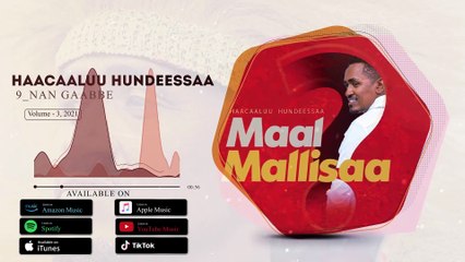 Listen to Hachalu Hundesa's New Single 'Nan Gaabbe' from the 2021 Album 'Maal Mallisaa' 🎶