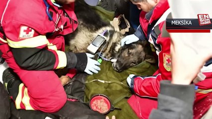 Meksika Savunma Bakanlığı, Proteo'nun anısına video paylaştı