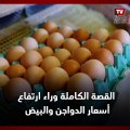 القصة الكاملة وراء ارتفاع أسعار الدواجن والبيض