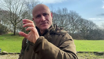 Sclub 7 reunion is great for disabled fans