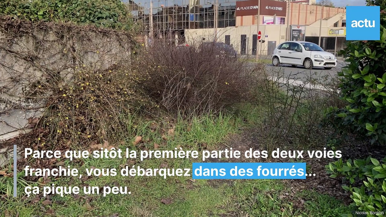 Orléans, un passage piéton qui peut surprendre