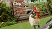 Shaun the Sheep Shaun the Sheep E065 – Chip off the old Block
