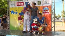 Brazilian Carnival: Pet street group performs as part of Rio celebrations