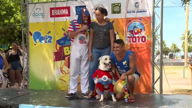 Brazilian Carnival: Pet street group performs as part of Rio celebrations