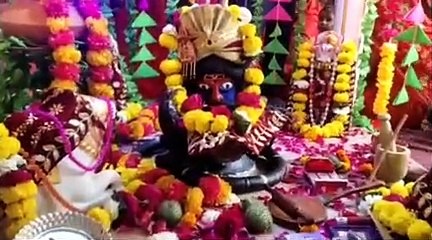 Video herunterladen: शिव व पार्वती का हुआ विवाह, श्रद्धालुओं ने किया कन्यादान,देखे वीडियो