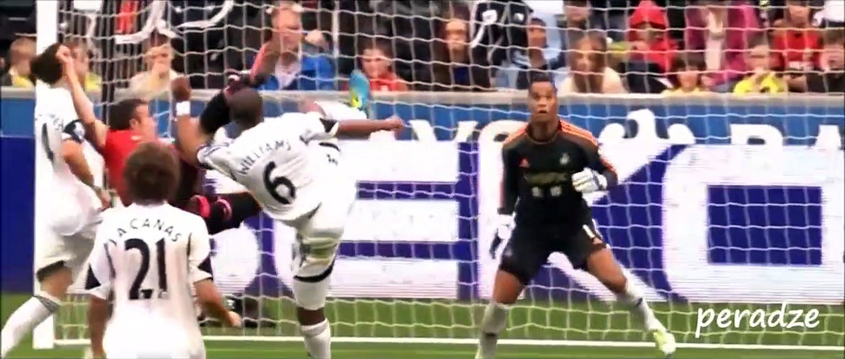 Robin van Persie ● Top 10 Goals ● Top 10 Skills