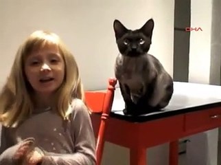 Hırsız Kedi İmkansızı Başardı