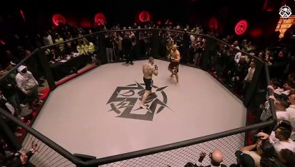 Clip del último combate de Dogfight Wild Tournament