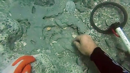 Okyanus Dibinde 1 Milyon Dolar Değerinde Hazine Bulan Adam