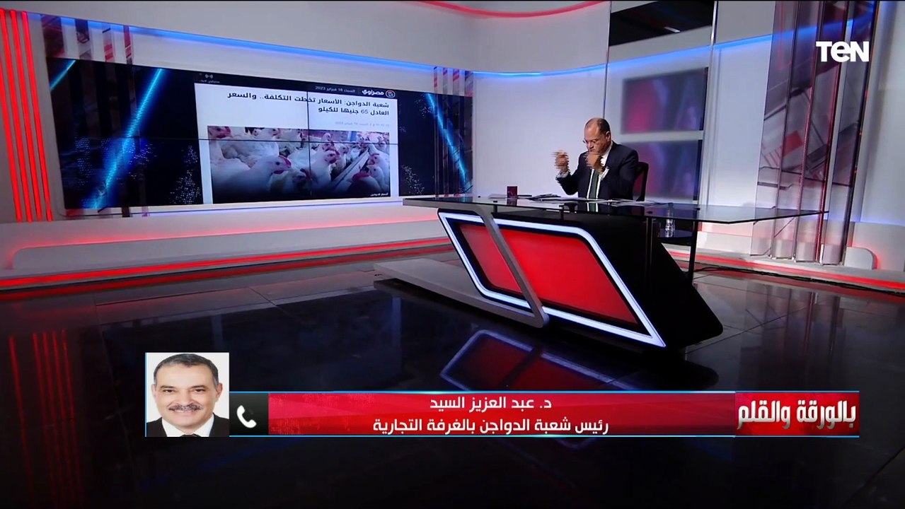 "العجز يصل إلى 40%".. رئيس شعبة الدواجن بالغرفة التجارية يكشف ماذا يدور بسوق الدواجن في مصر؟